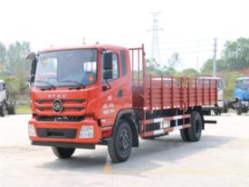 程力集團(tuán)東風(fēng)平頭九米教練車